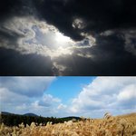 [제주도여행] 이번엔 셋이서 렌트카 제주도 여행 ♬ 두번째
