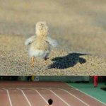 [시우민] 뼝<b>아리</b> 민석이