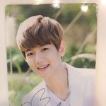 [백현] 네이처 백현이 포카 고화질 <b>숲속</b>의 요뎡ㅠㅠ