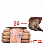 [블락비] 특별이주께ㅇㅅㅇ사진놀람주의