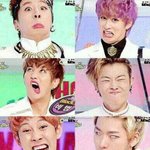 [블락비] 꿀벌들안녕
