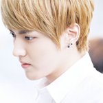 [EXO] 크리스?