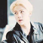 [비상대피소] 이제졸리다....