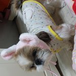 울 <b>수님</b> 좀 봐주이소~~