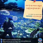 스쿠버 다이빙을