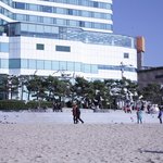 <b>해변</b>에서 갈매기를 잡아 사진찍는 사람들 (사진有)