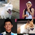 간만에 보는 <b>고전</b>유머모음~~~~