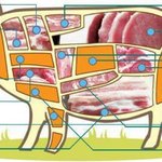 <b>종이</b> 다르다
