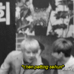 [EXO] 마이너 세첸 앞에서 조용히하셈ㅠㅠ