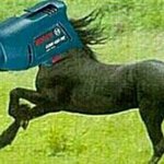 [비상대피소] <b>제</b>가 드릴<b>말</b>이있는데요...