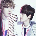 [EXO] 게이의 <b>정석</b> 찬백