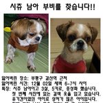 아이를 찾아요..꼭 봐주세요~