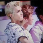 [EXO] 세후니꾹꾹이