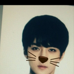 [비상대피소] 날아라 <b>버드</b>훈