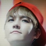 [EXO] 변백현 <b>단백질</b>인형8ㅅ8