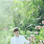 [EXO] 이건 <b>예술</b>이다 꺄