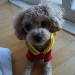 <b>사료</b>도 편식이 있군요..으헝