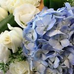 결혼기념일 축하메세지 스토리<b>나우</b>에서 만들어 보세요