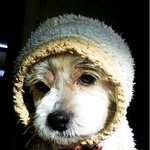 <b>성냥</b>사세요...