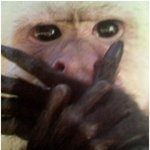 상속자들 <b>보나</b> 찬영 커플 앓이ㅠㅠ