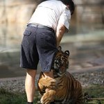 [대한민국] 양적 완화 축소정책에 대비하고 계십니까?