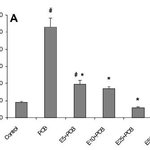 [댓글부탁] 중국의 미세먼지 속 pcb와 녹차의 효과