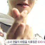 [EXO] 공홈에틀어줬던 마이 뭐시기랑