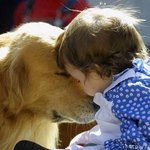 현대인의 삶과 반려동물