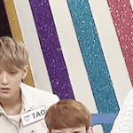 [EXO] 아놔 귀짤 좀 ㅡㅡ 