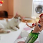 [묘한라이프] 인어공주와 사랑에빠진 먼치킨고양이<b>세모</b>