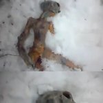 [작두] 러시아 <b>눈밭</b> 외계인 시체
