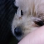 우리농자를 소개해용!!!