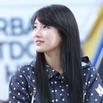 [수지] 수지에 대한 착각들.