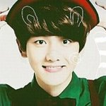 [EXO] 백현에게 리얼리티는 <b>손해</b>라는 인간들 어디갔냐