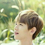 [EXO] 아근데 진짜변백현이 애들잘챙겨주긴하더라
