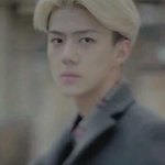 [EXO] 최애는 백현인데