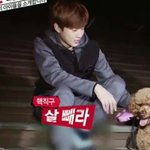 [비상대피소] 다들 안자고 뭐하니??????????