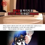 끝판왕에 올라온 사연 보셨어요??