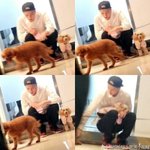 [비상대피소] 볼때마다느끼지만
