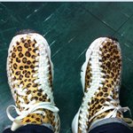 [차에치인소] 영환아... 제발 레오<b>파드</b> 그만 입어주라