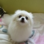 [한글이] 수다쟁이 항구리 [49]