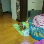 톡보고 수면<b>양말</b>로 짱구 옷만들어줬어요 ^ㅠ^