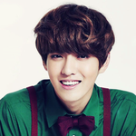 [EXO] 엑솜 중국인멤버들