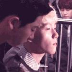 [EXO] 변백현 <b>성격</b>개이뻐