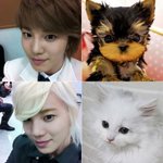 [인피니트] 이쁜 애기<b>드류</b>ㅠㅠ