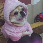 [공유] 여기 뭐냐 <b>울</b><b>오빠</b> 무시하냥