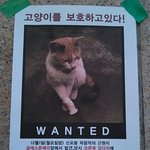 고양이를  <b>보호</b>하고 있다!
