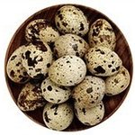 [VIXX] 레오와 <b>메추리알</b>과 개불.