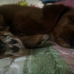 [댓글부탁] (미침주의)남들과 다른 여인과 또x이 친구들