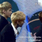 [EXO] ㅋㅋㅋㅋ둘이웃는거닮음ㅋㅋㅋㅋㅋ.<b>gif</b>